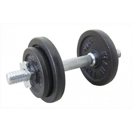 Finnlo Dumbbell 10 kg gietijzer