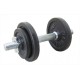 Finnlo Dumbbell 10 kg gietijzer