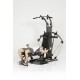 Finnlo Bioforce crossfit bench