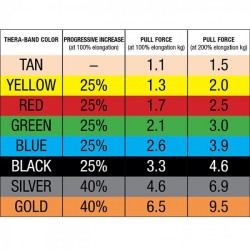 Thera Band Body trainer vaste grepen