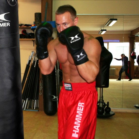 Boxing Premium Fitness L2 Hammer 