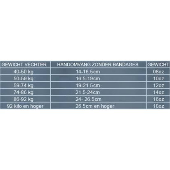 Boxing Premium Fitness L2 Hammer 