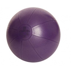 Swiss Ball 500 kg, 65 cm met pomp