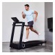 Hammer Fitness Q. Vadis 10.0 Loopband - met TFT touchscreen en Zwift