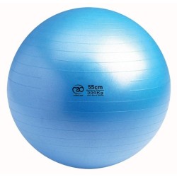 Swiss Ball | 300 kg, 55 cm met pomp en online workout