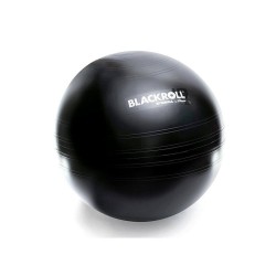 BLACKROLL® GYMBALL 65 cm black - 500 kg