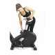 Toorx Fitness BRX-100 Ergo Hometrainer - met Kinomap