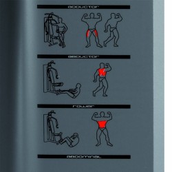 BH MULTIGYM PLUS Krachtstation