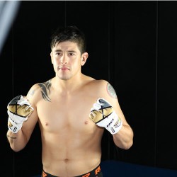 RDX Grappling Gloves REX T7Roze M