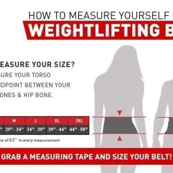 RDX Powerlifting Riem 15 cmExtra Large