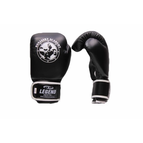 Bokshandschoenen Remy Bonjasky Legend zwart - Maat: 14oz