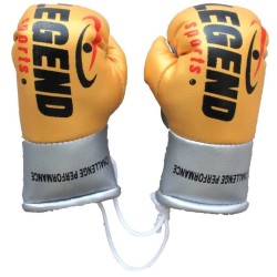 Legend Mini Bokshandschoenen - Goud/Geel