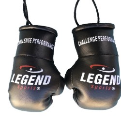 Legend Mini Bokshandschoenen - Goud/Geel