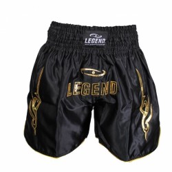 Kickboks broekje legend lang model goud - Maat: L